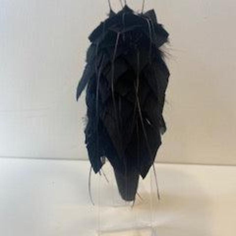 Black Feather Headband