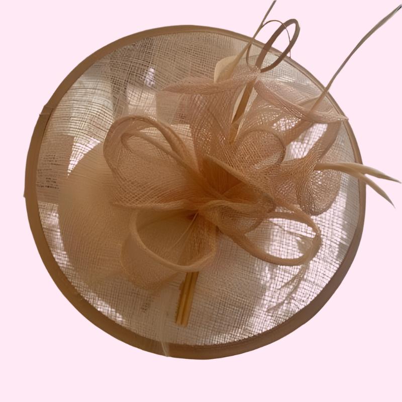 Champagne Clutch Bag